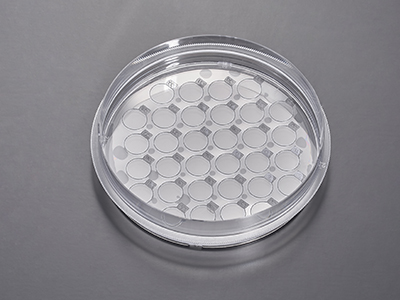 單次細胞培養(yǎng)可制備多種不同實驗和檢測目的的細胞爬片，提高工作效率