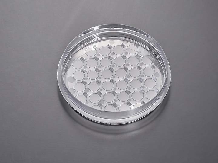 內(nèi)頁720×540 拷貝.jpg