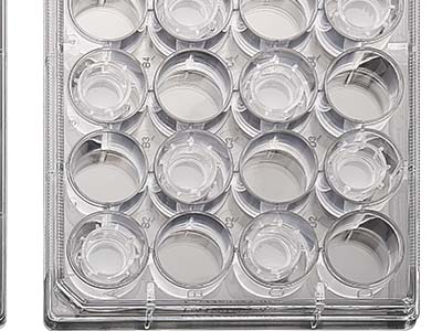 配有清晰的數(shù)字孔標(biāo)識(shí)，便于區(qū)分識(shí)別，方便記錄