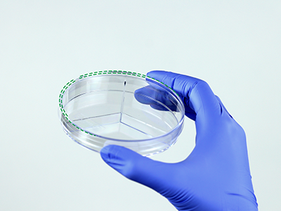 皿蓋邊緣突起設(shè)計，有利于培養(yǎng)皿穩(wěn)定疊放